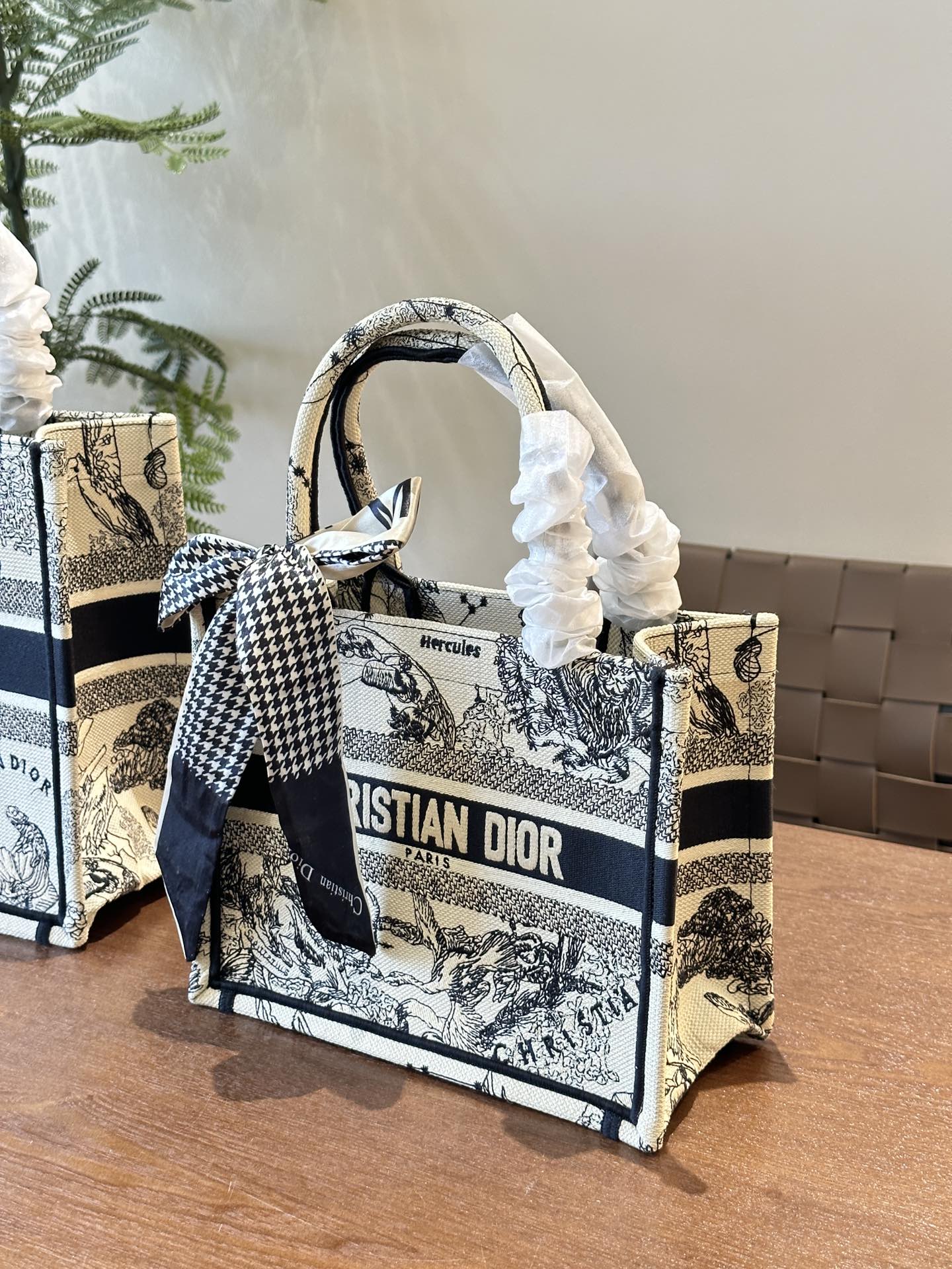 Dior Book Tote Bag Shopping Bag