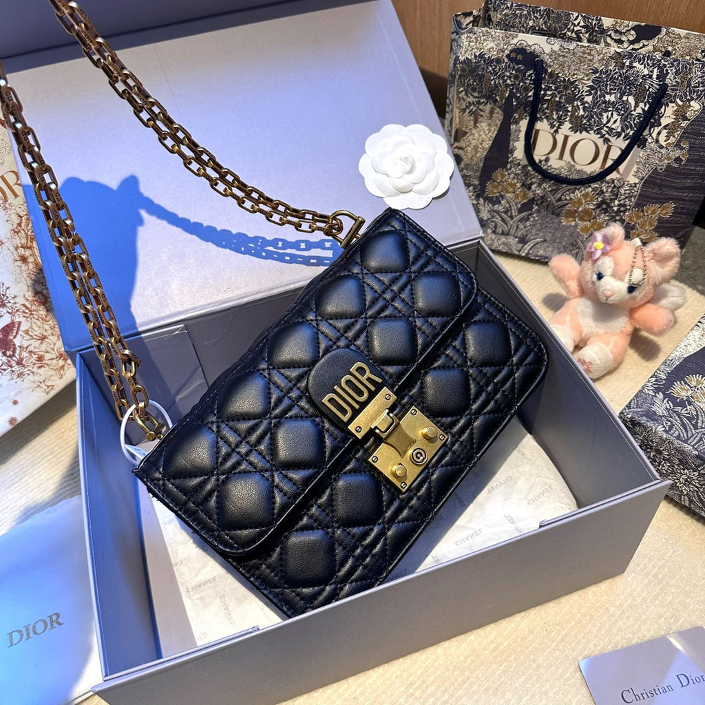 Dior Addict Roman Bag oblique bag