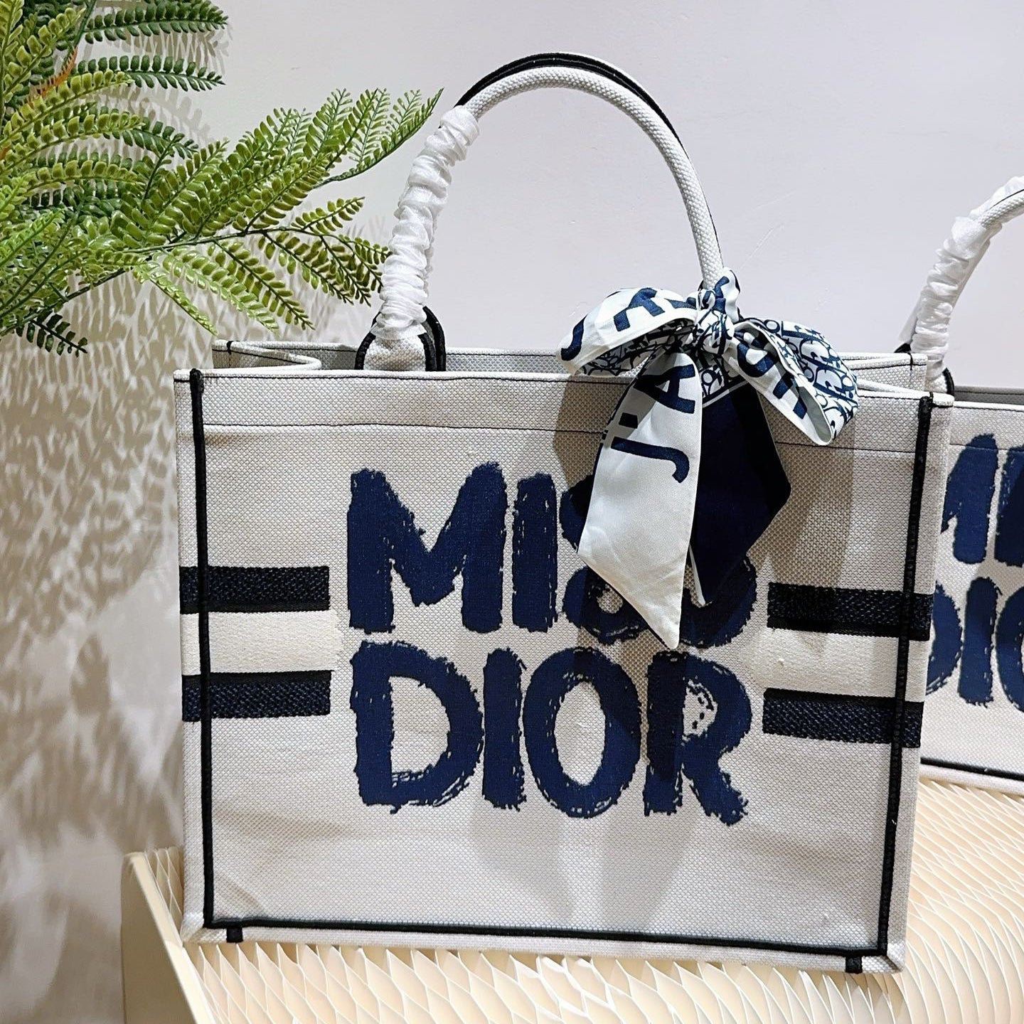 Dior Book Tote mediano Bag