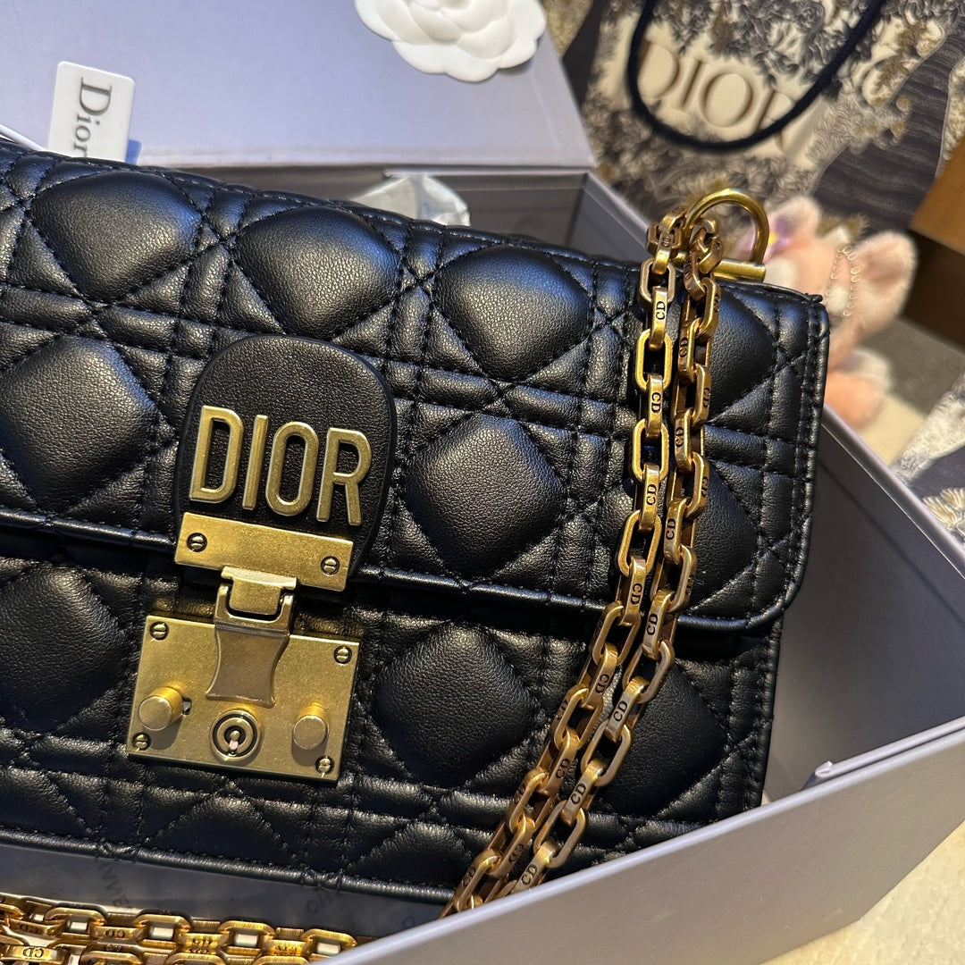 Dior Addict Roman Bag oblique bag