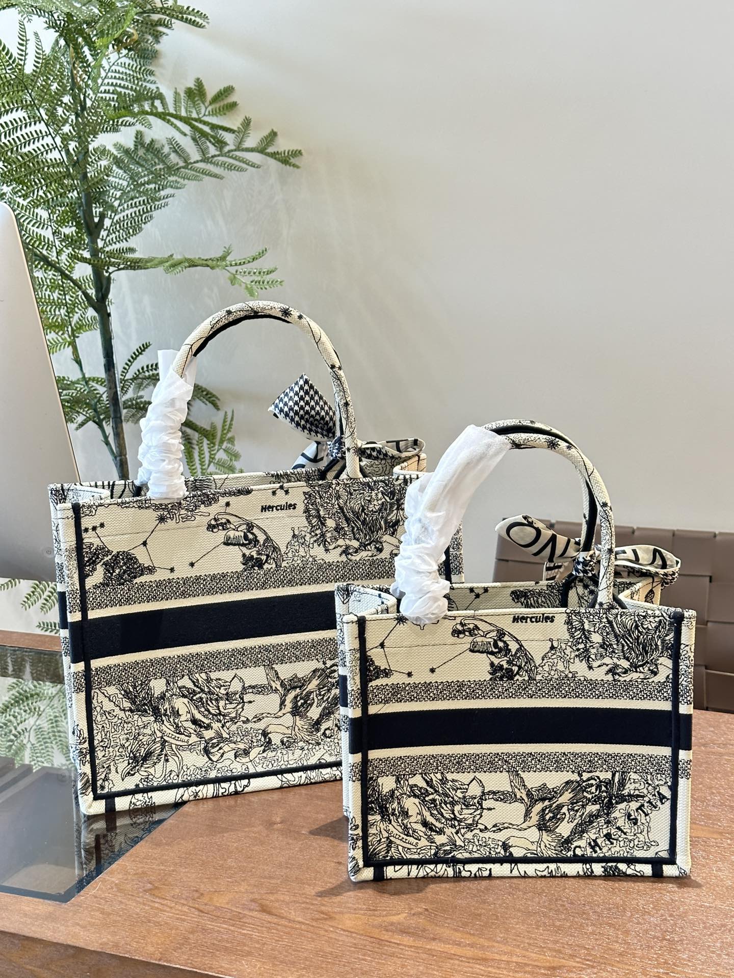 Dior Book Tote Bag Shopping Bag