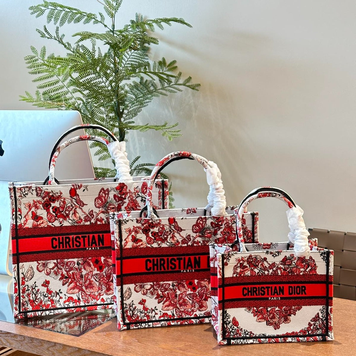 Dior Book Tote Bag Shopping Bag