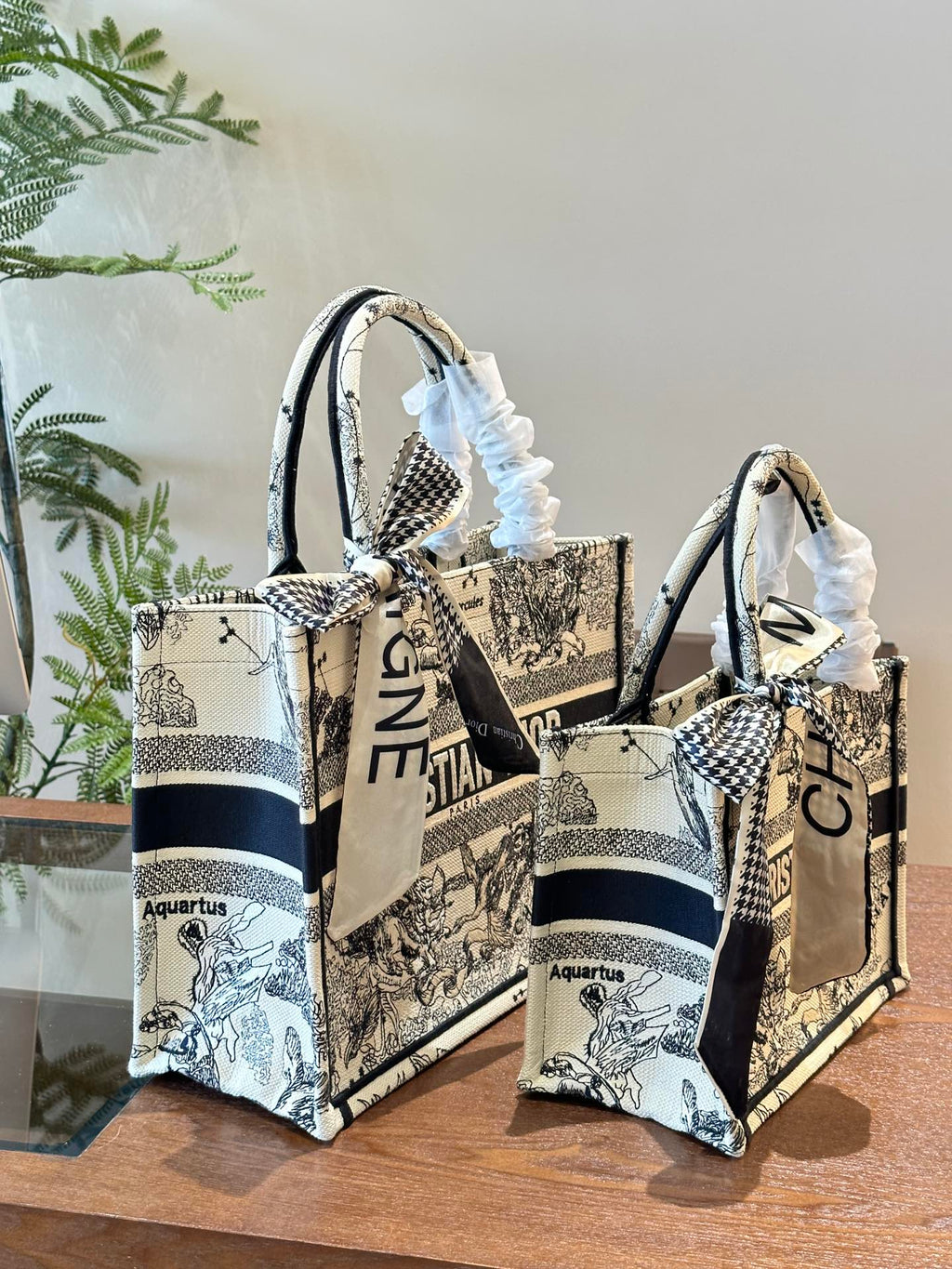 Dior Book Tote Bag Shopping Bag