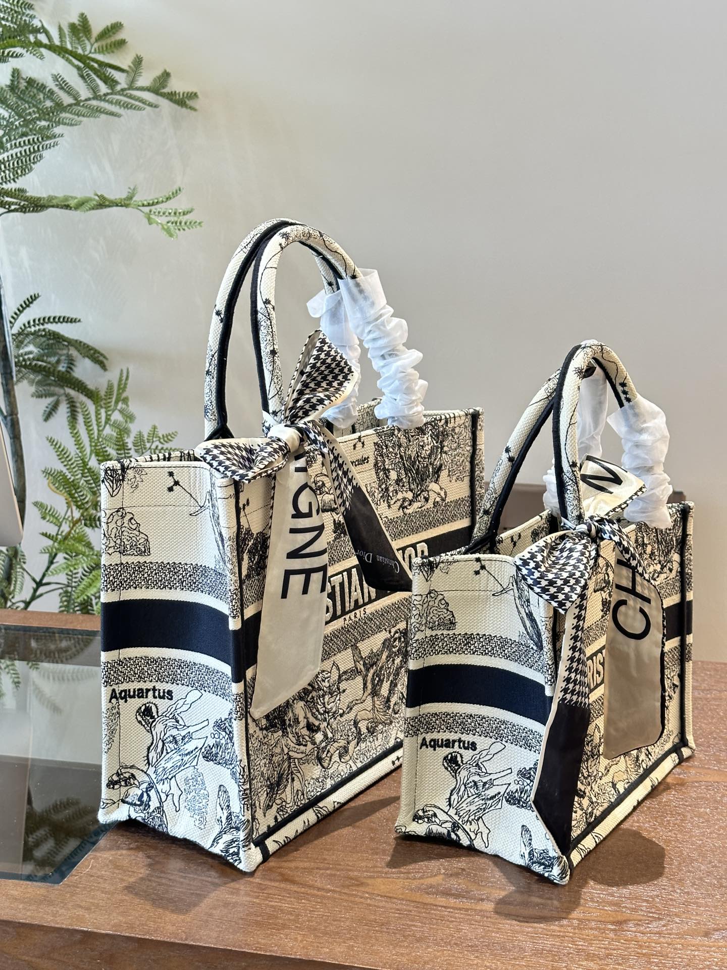 Dior Book Tote Bag Shopping Bag