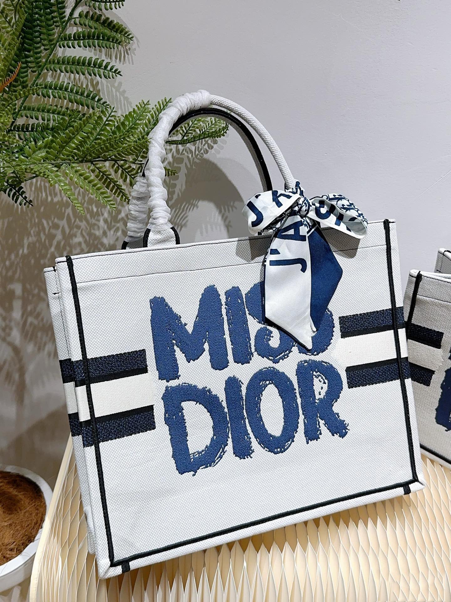 Dior Book Tote mediano Bag
