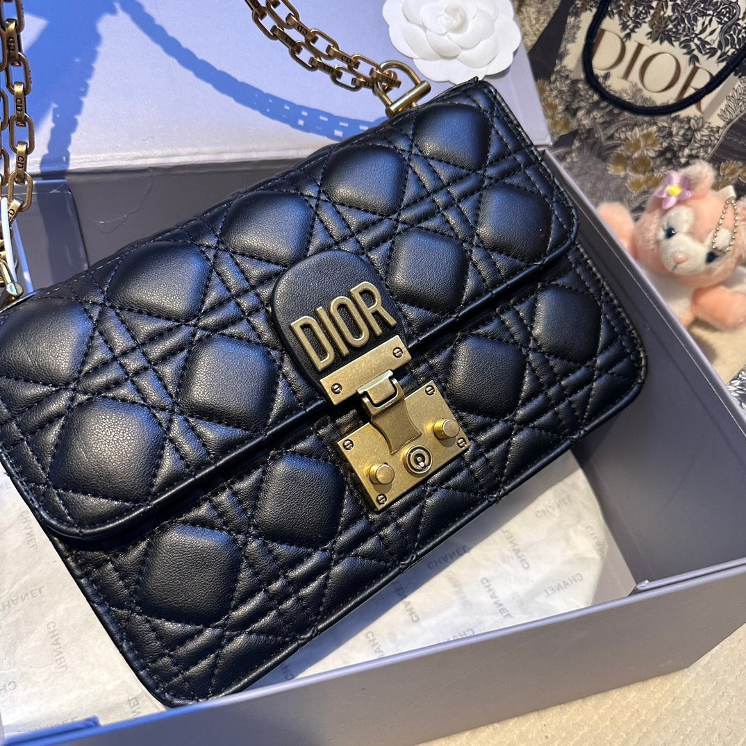 Dior Addict Roman Bag oblique bag