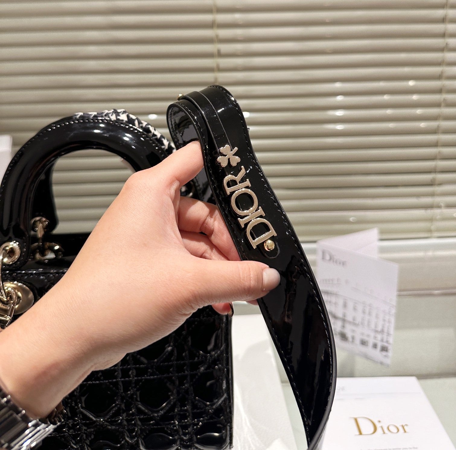 Dior Crossbody Bag Clutch Bag 20cm