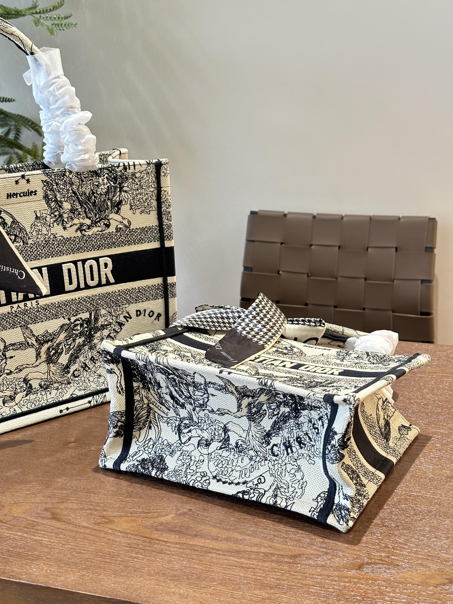 Dior Book Tote Bag Shopping Bag