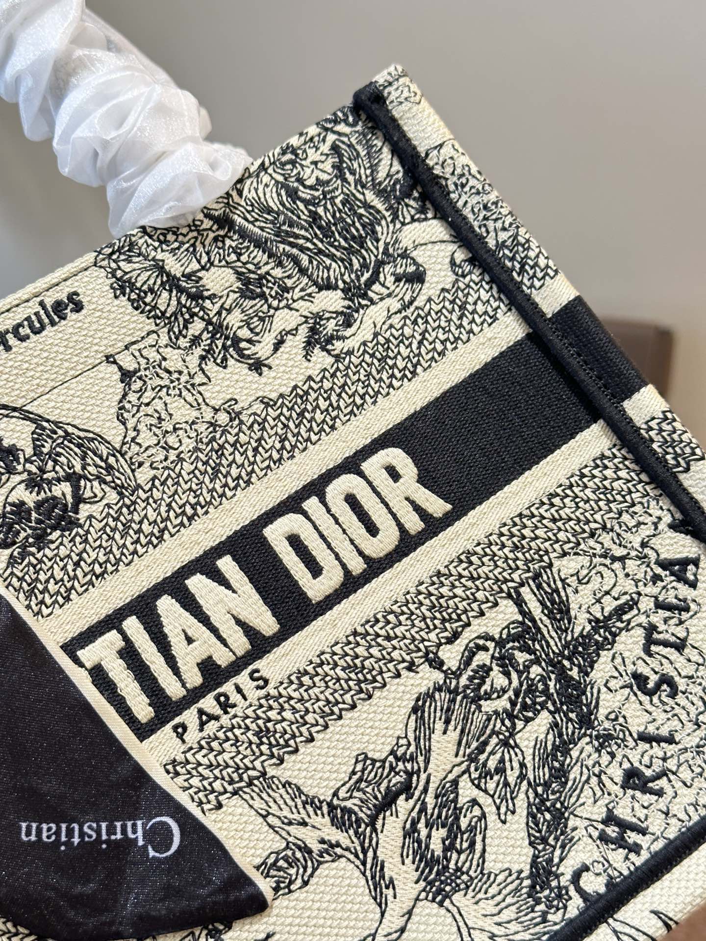 Dior Book Tote Bag Shopping Bag