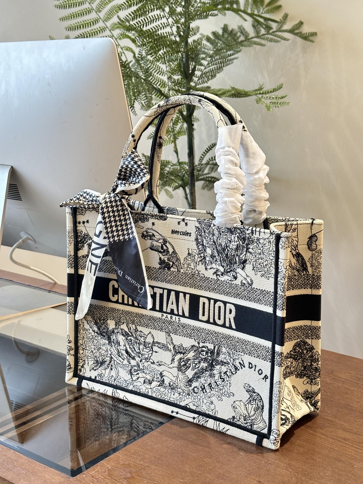 Dior Book Tote Bag Shopping Bag