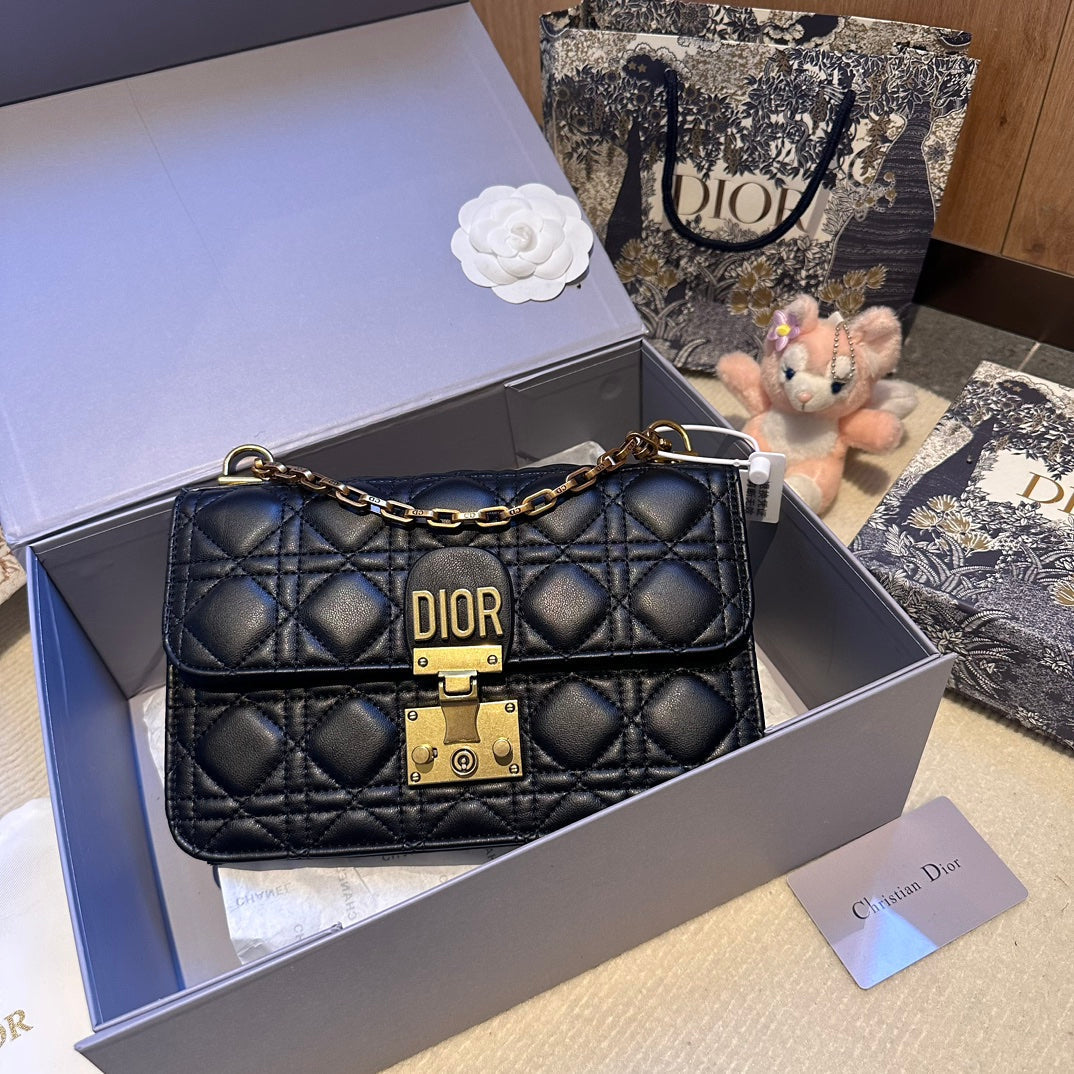 Dior Addict Roman Bag oblique bag
