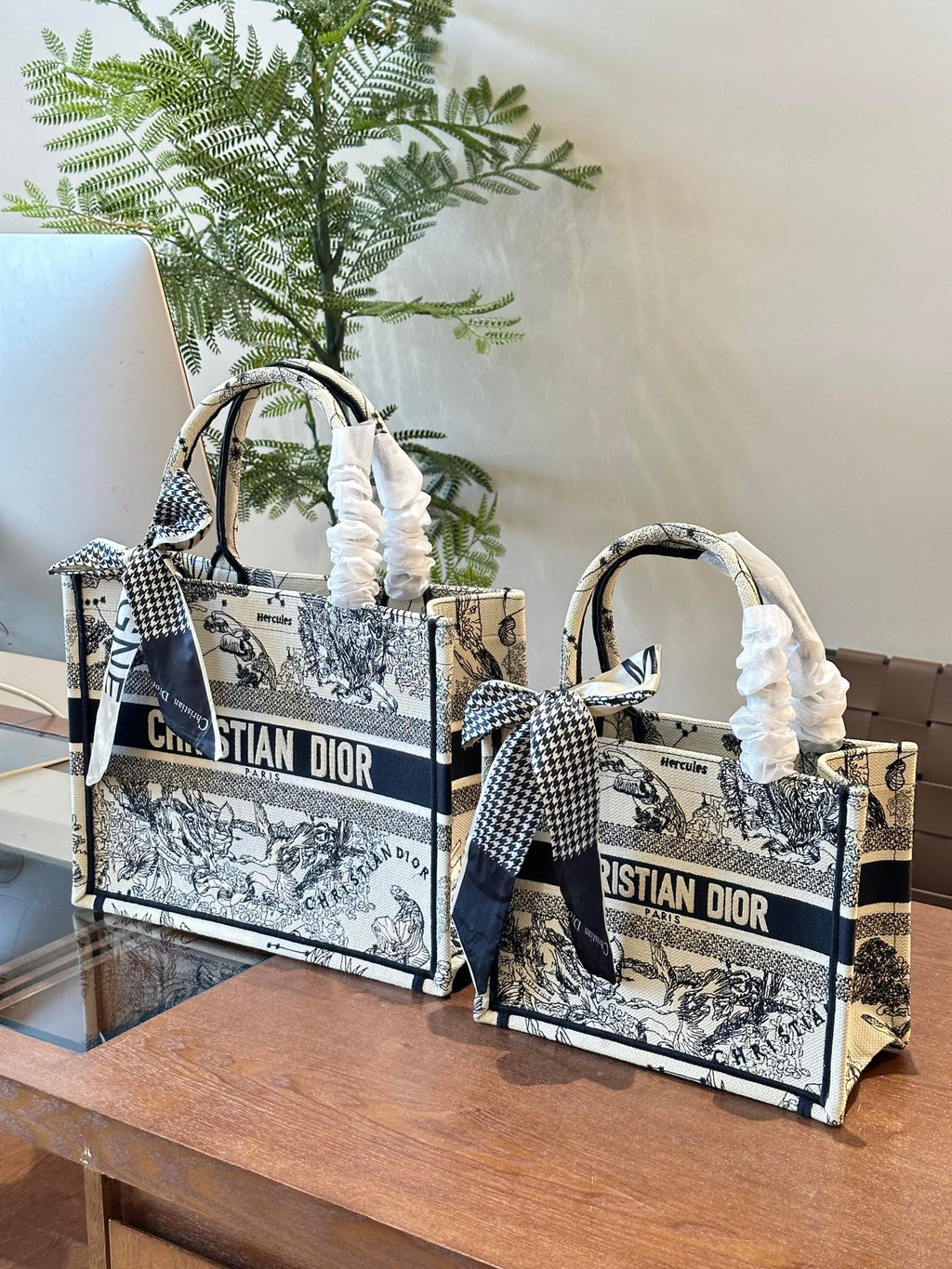 Dior Book Tote Bag Shopping Bag
