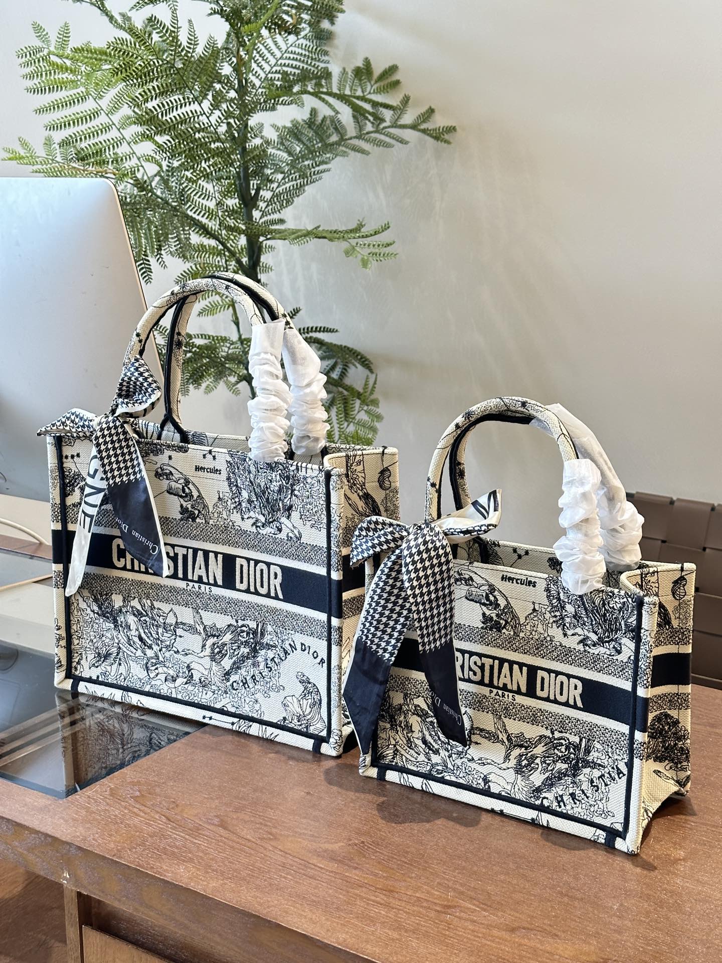 Dior Book Tote Bag Shopping Bag