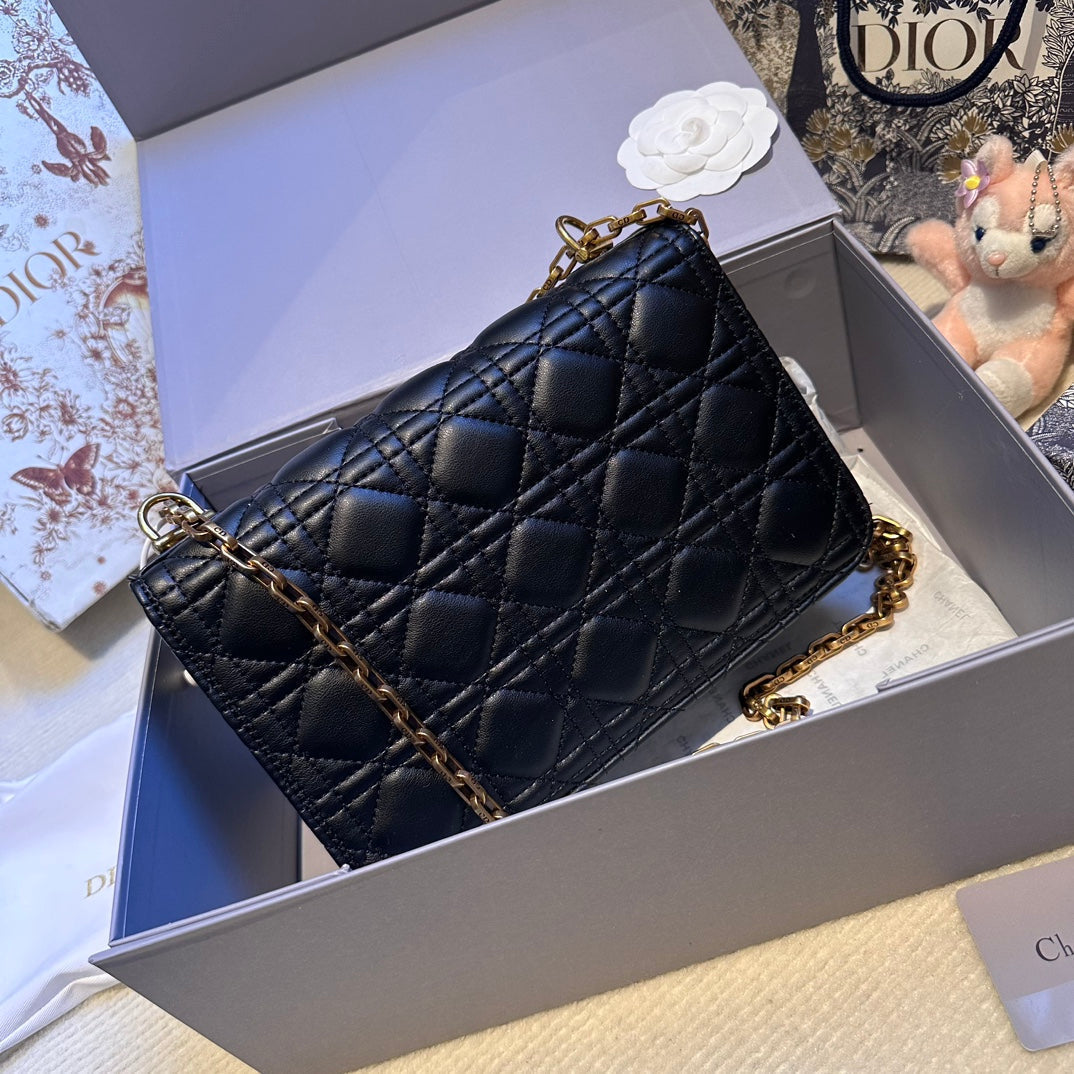 Dior Addict Roman Bag oblique bag