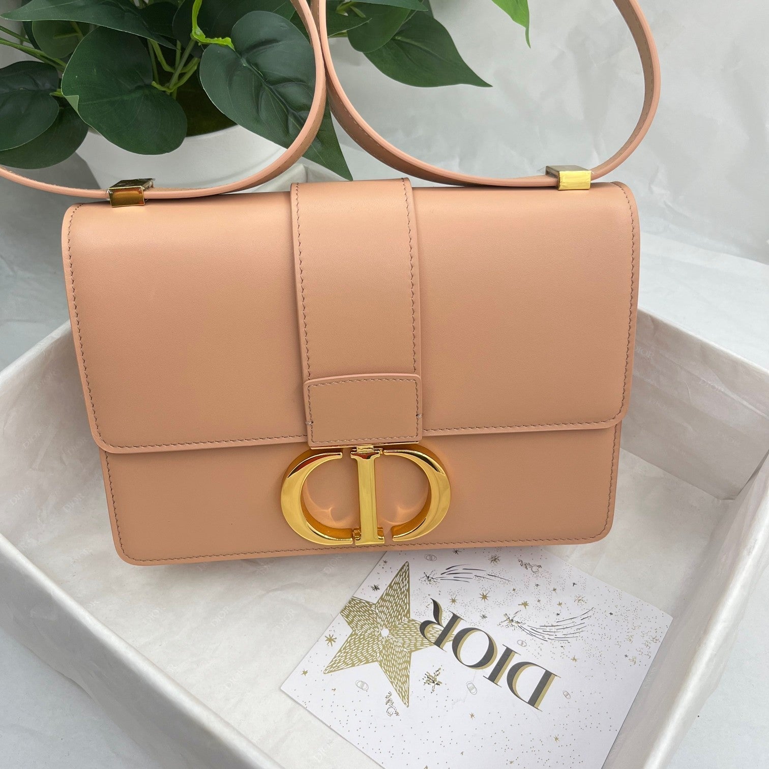 Dior 30 Montaigne CD Shoulderbag Pink, 24 x 17 x 8cm