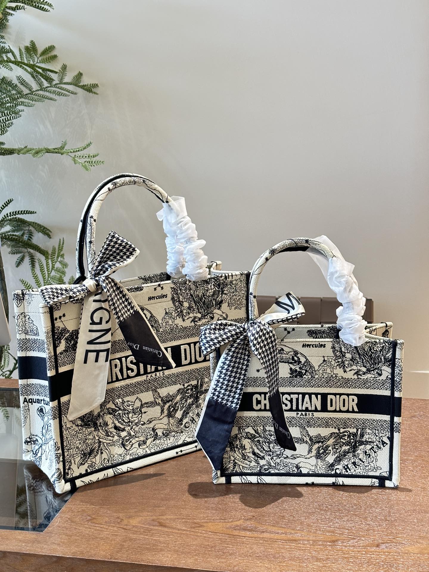 Dior Book Tote Bag Shopping Bag